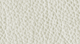 V01