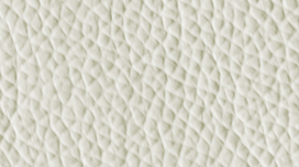 V01