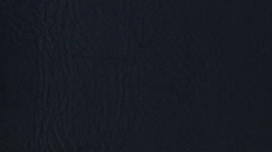 NP01