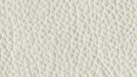 V01