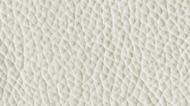V01