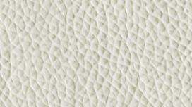 V01