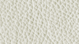 V01