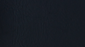 NP01