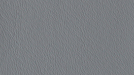 NP03