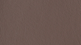 NP05