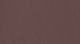 NP06