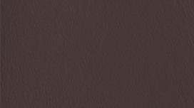 NP07