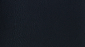 NP01