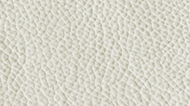 V01