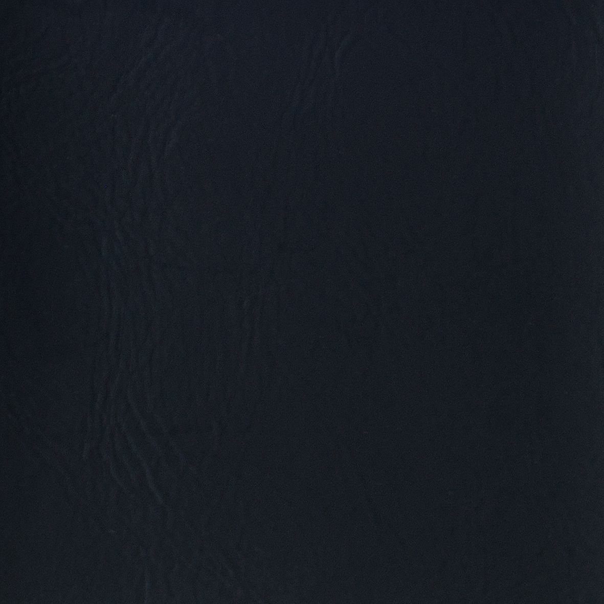 NP01
